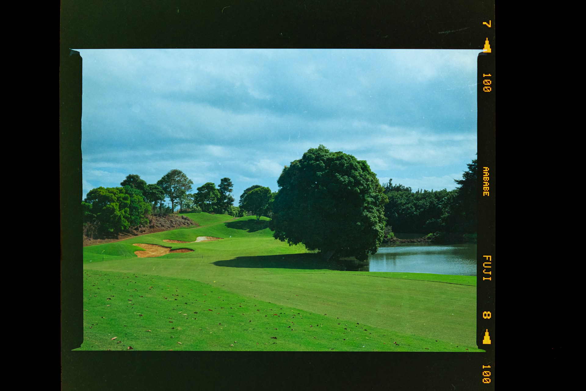 a picture of a golf course with a lake in the background