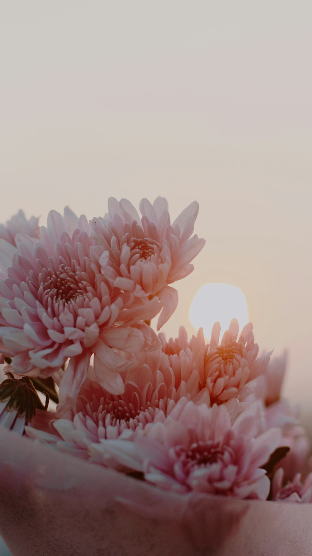 a close up of a vase with flowers in it