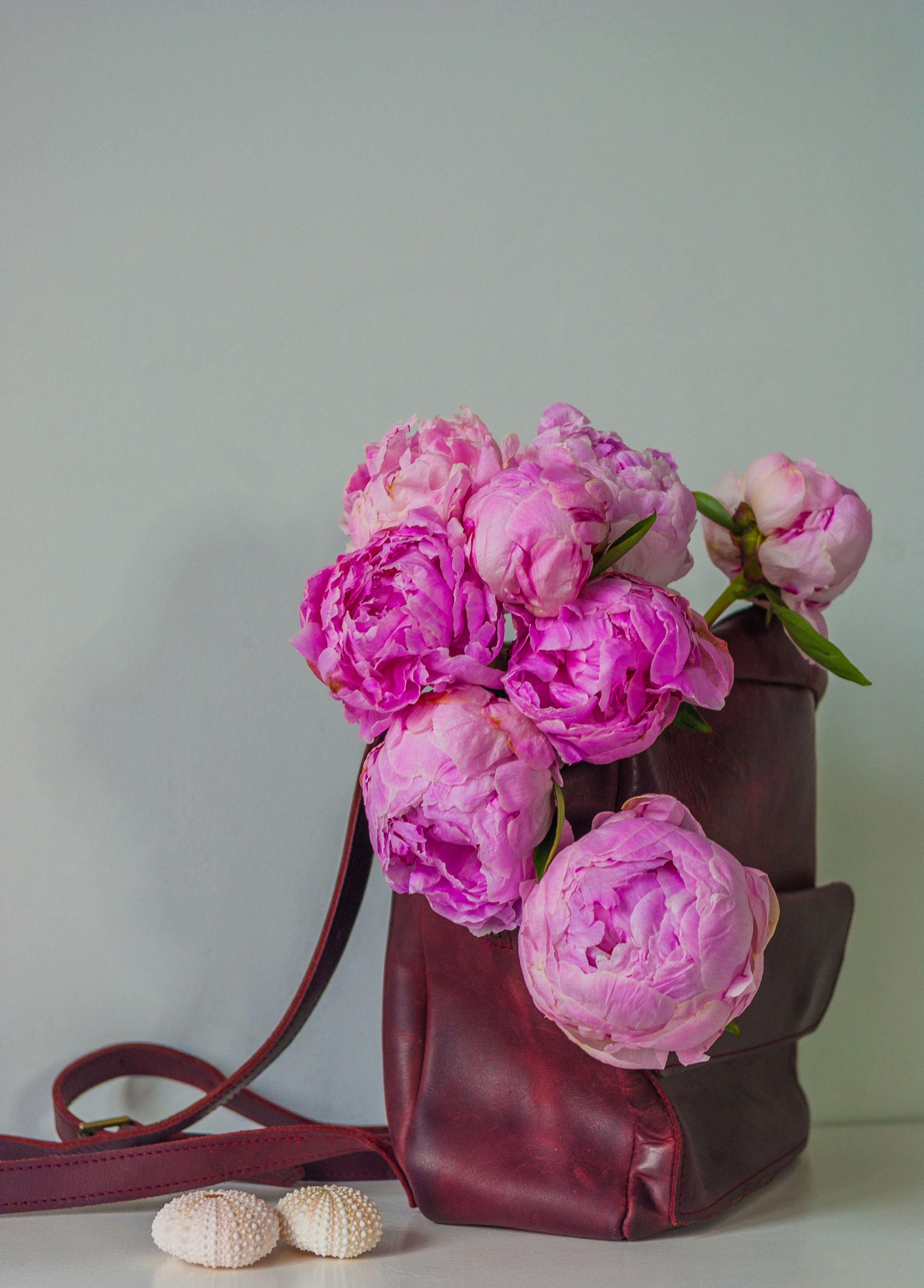 Photo by moonmoons_days