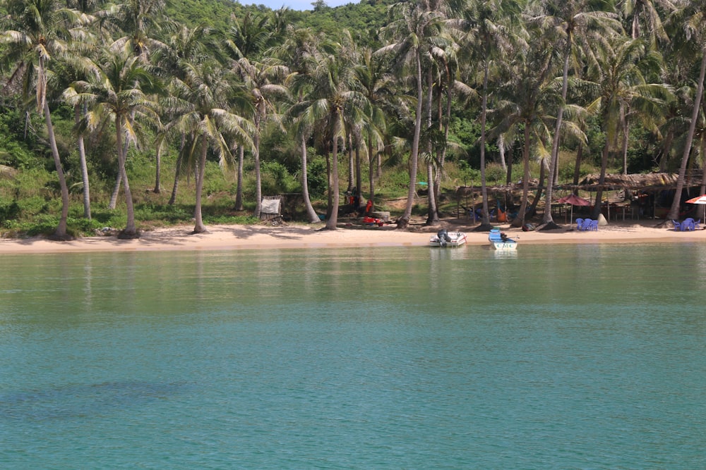 a group of people sitting on a beach next to a forest