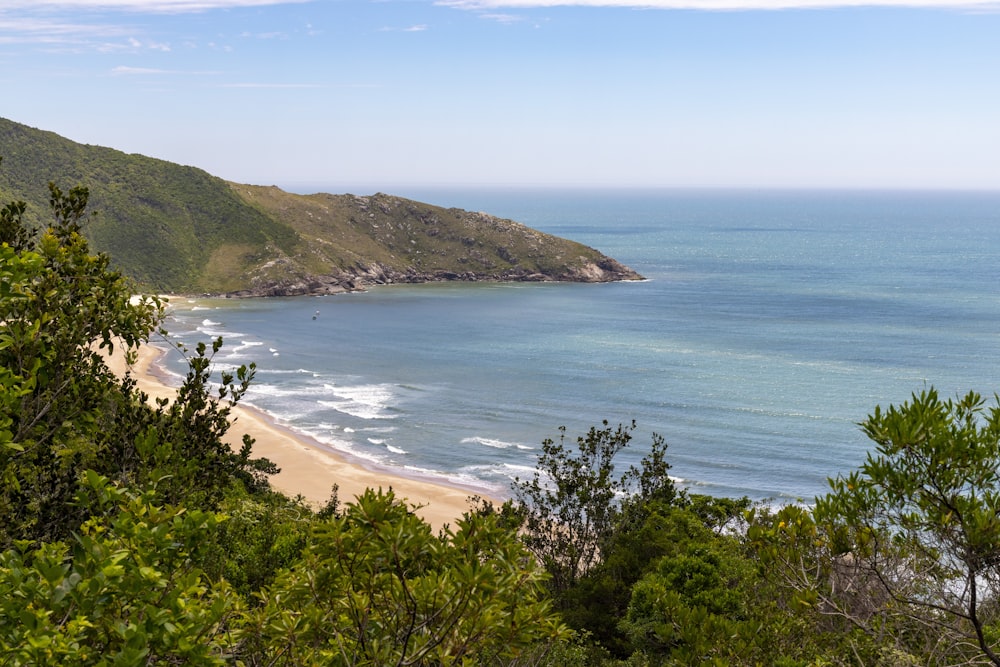 a view of a beach from a hill overlooking the ocean