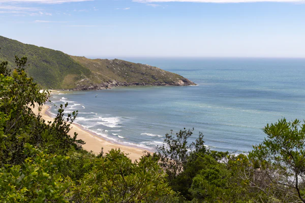 Vista de uma praia deserta do alto de um morro coberto de mata