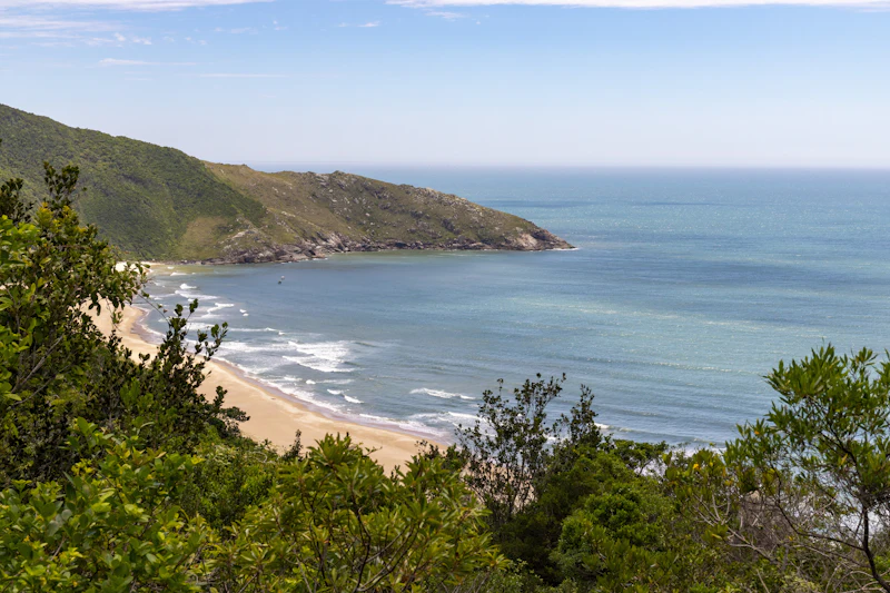 Vista de uma praia deserta do alto de um morro coberto de mata