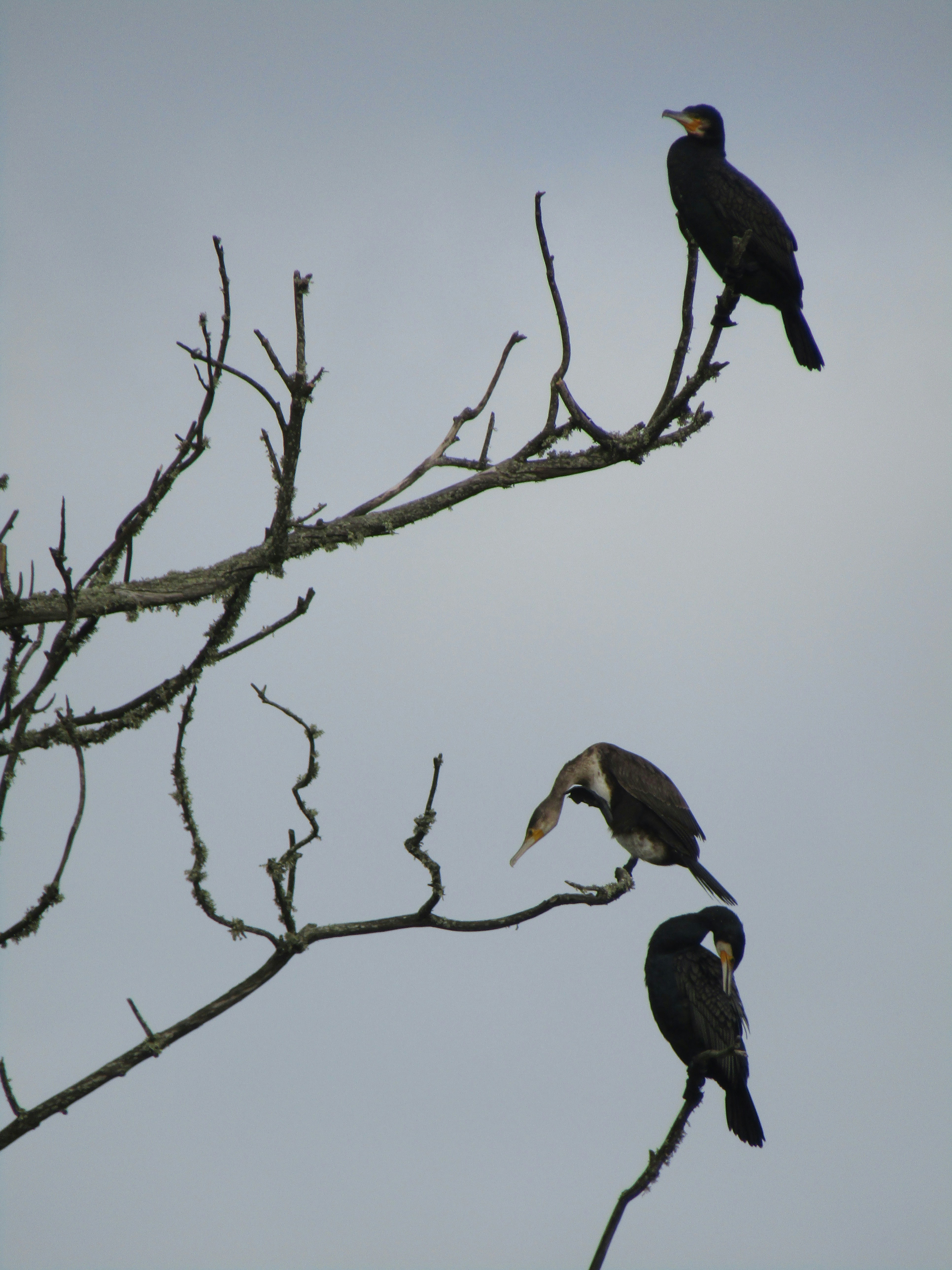 Photo by annashevchenko06s