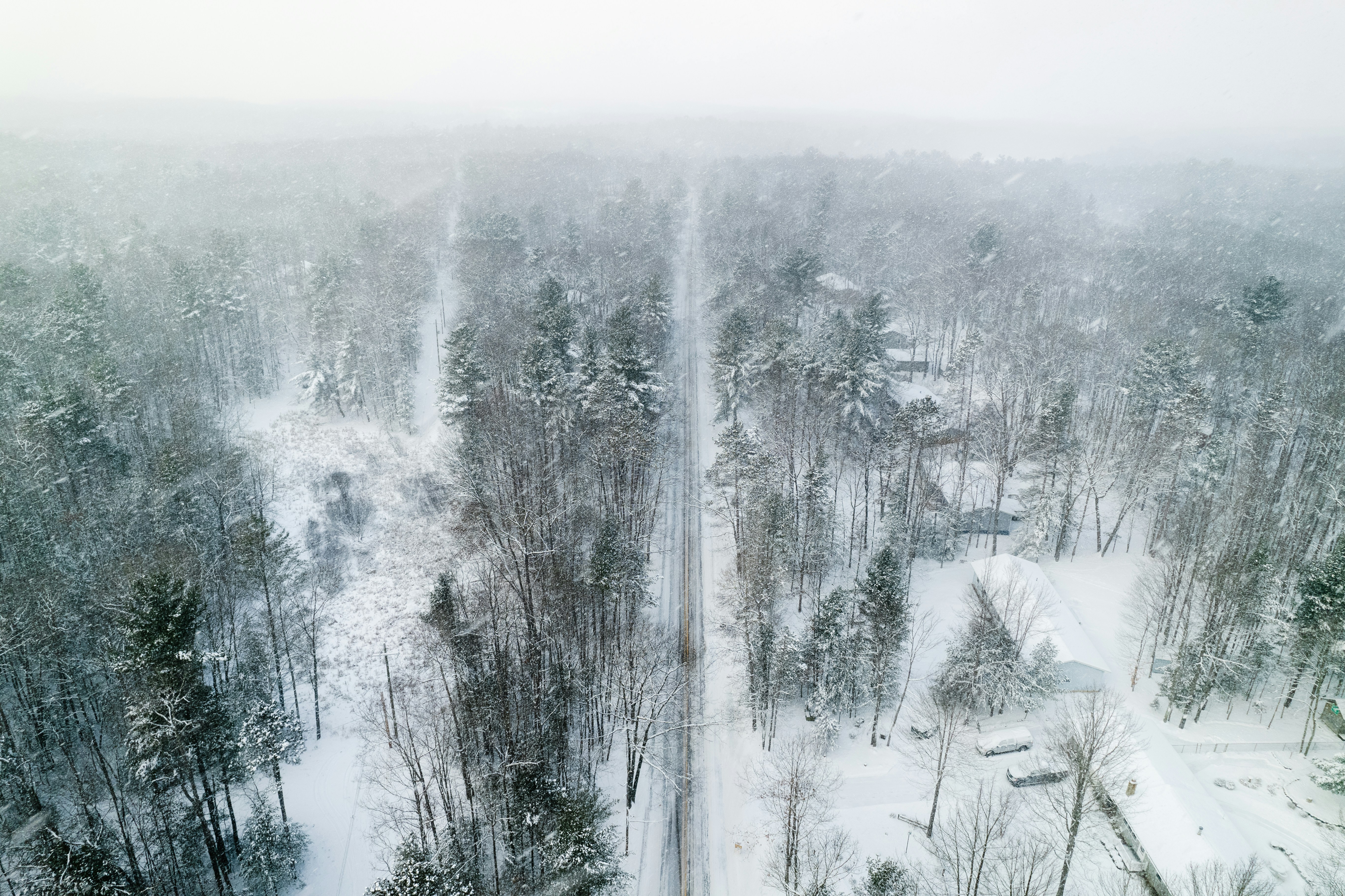 an aerial view of a snow covered forest