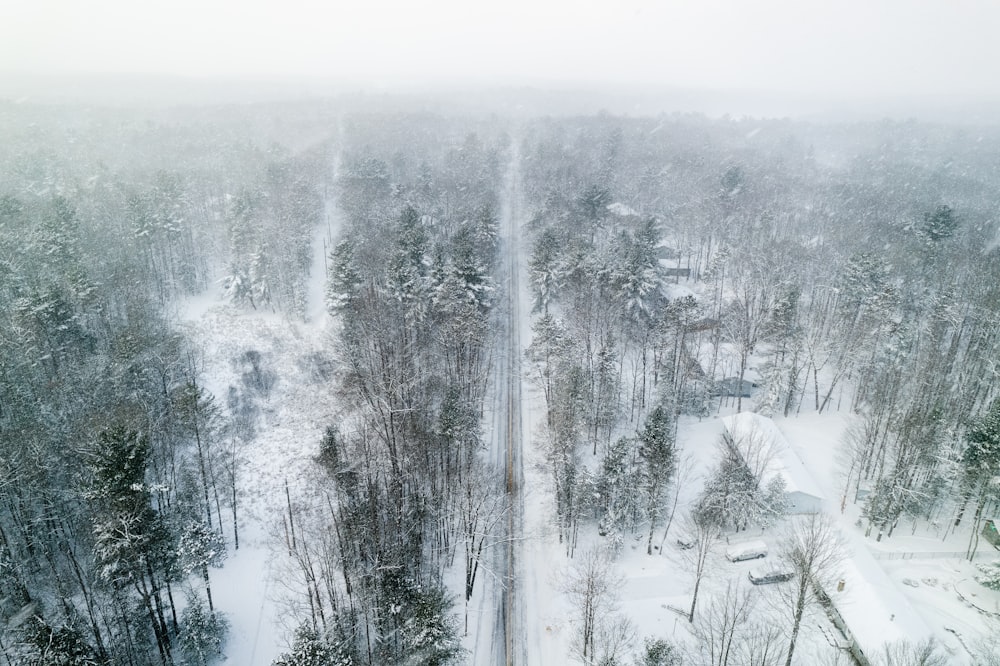 an aerial view of a snow covered forest