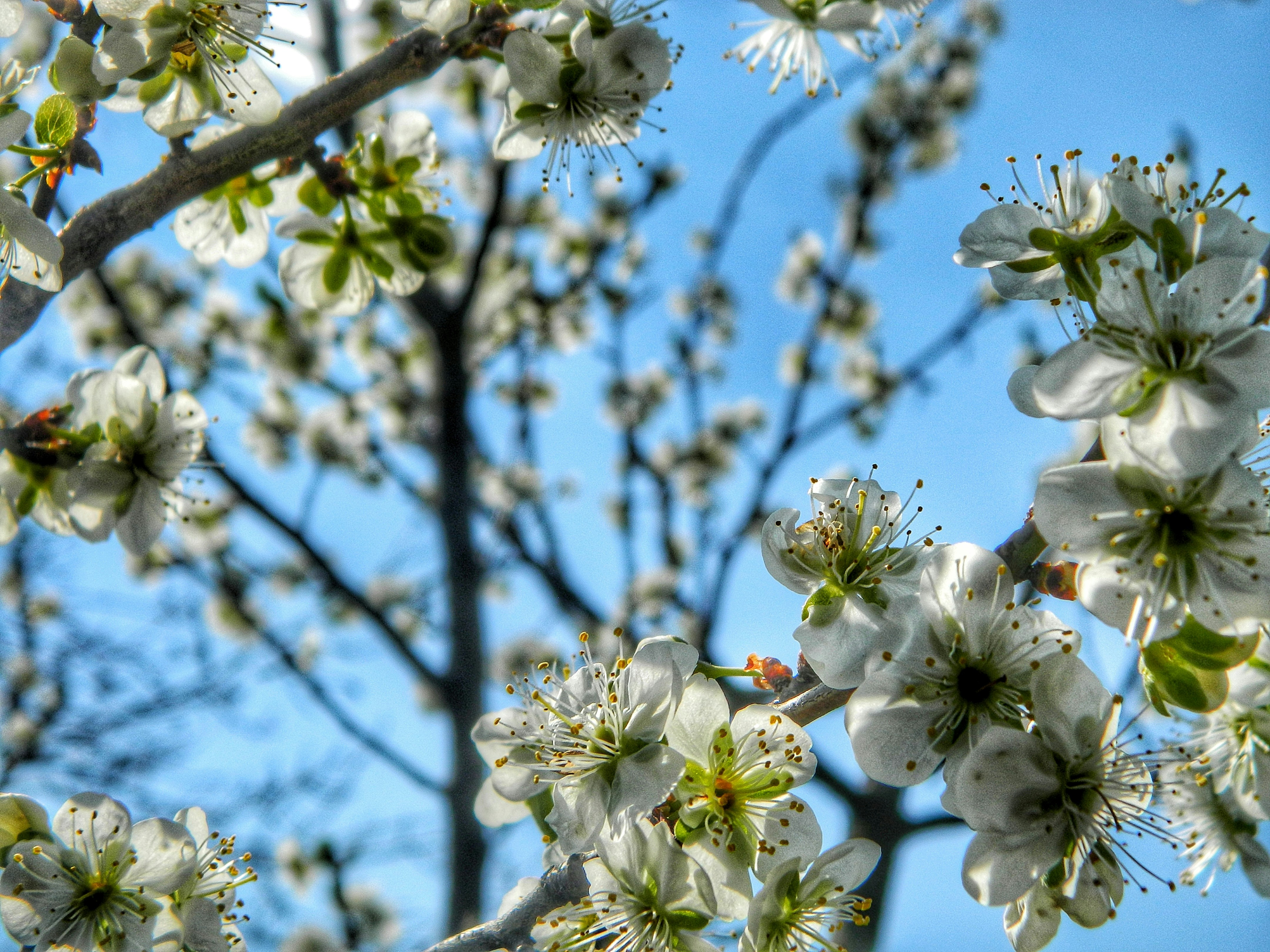 Photo by ruxandrateodroa