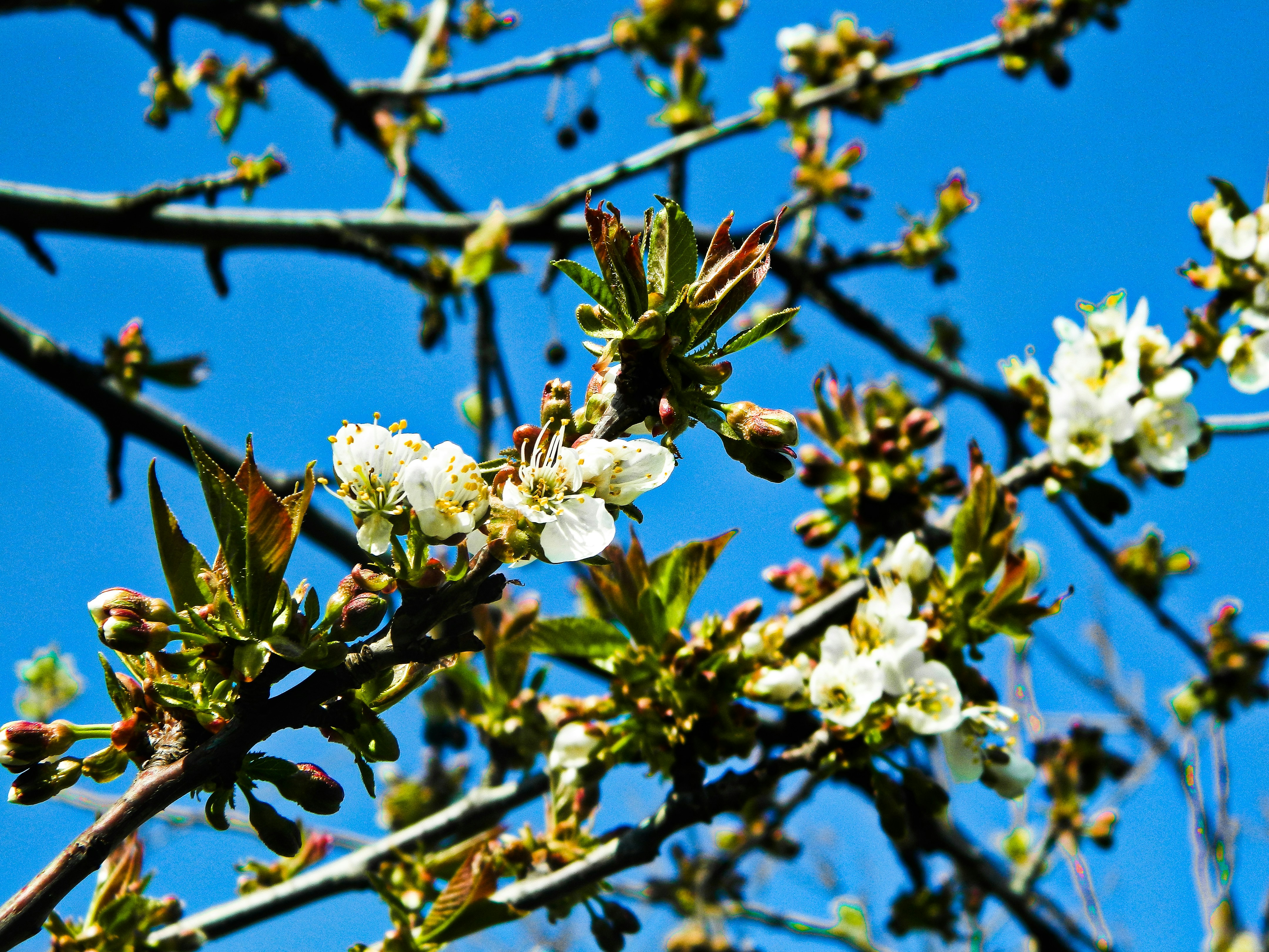 Photo by ruxandrateodroa