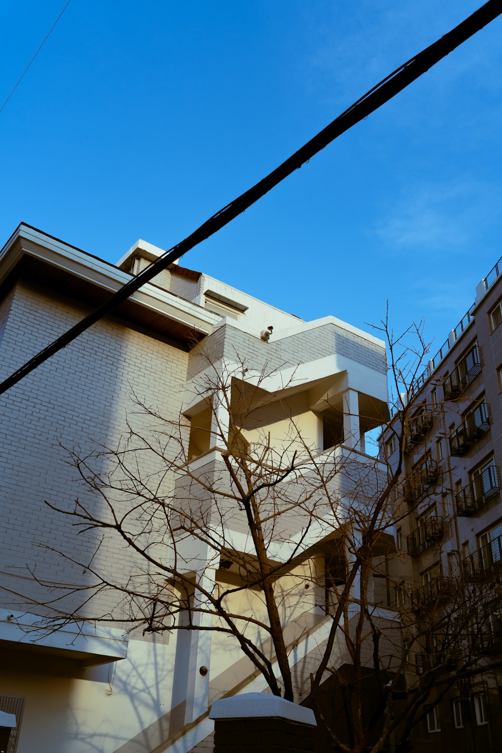 a tall white building sitting next to a tree