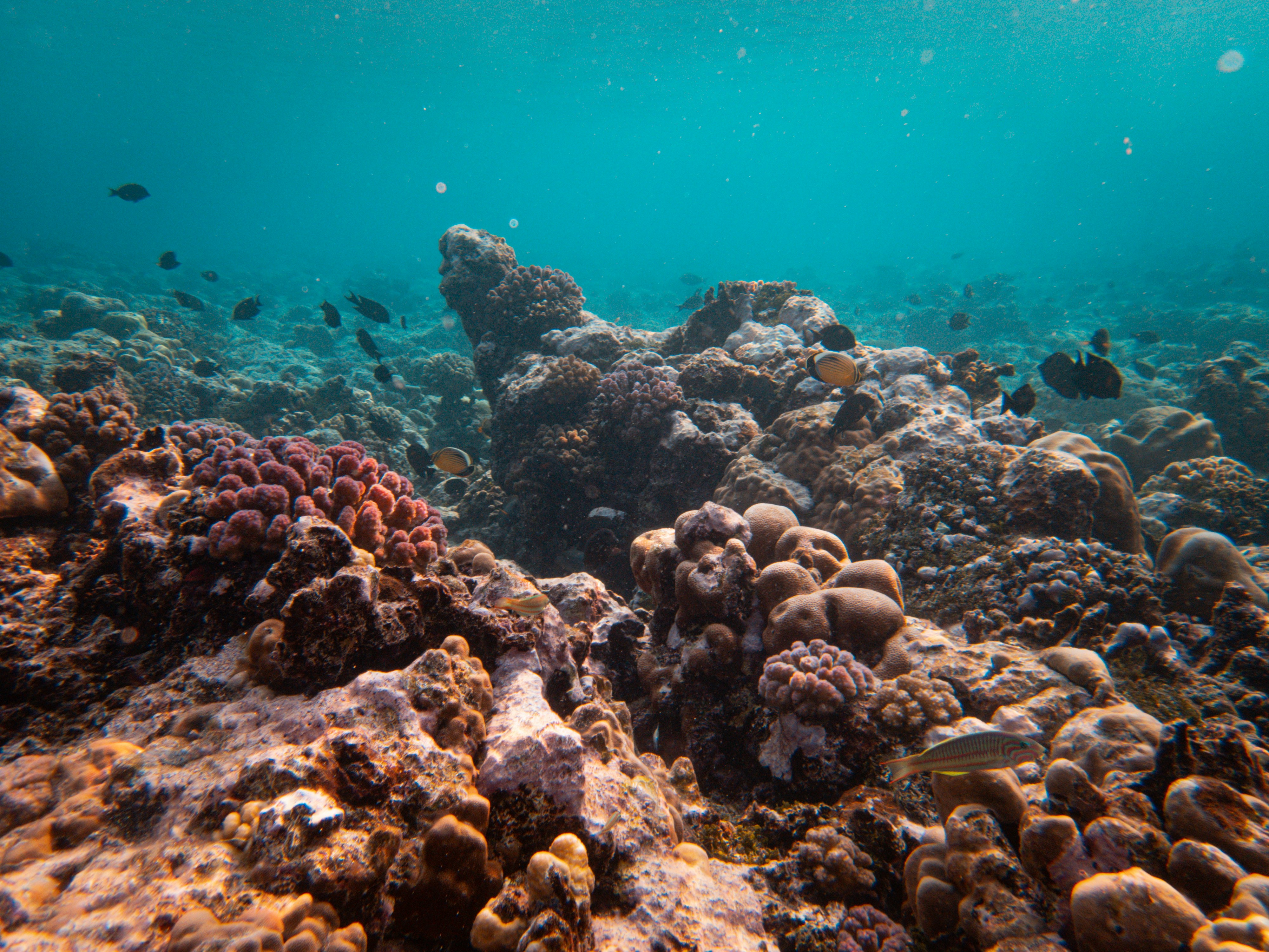 Photo by francesco_ungaro