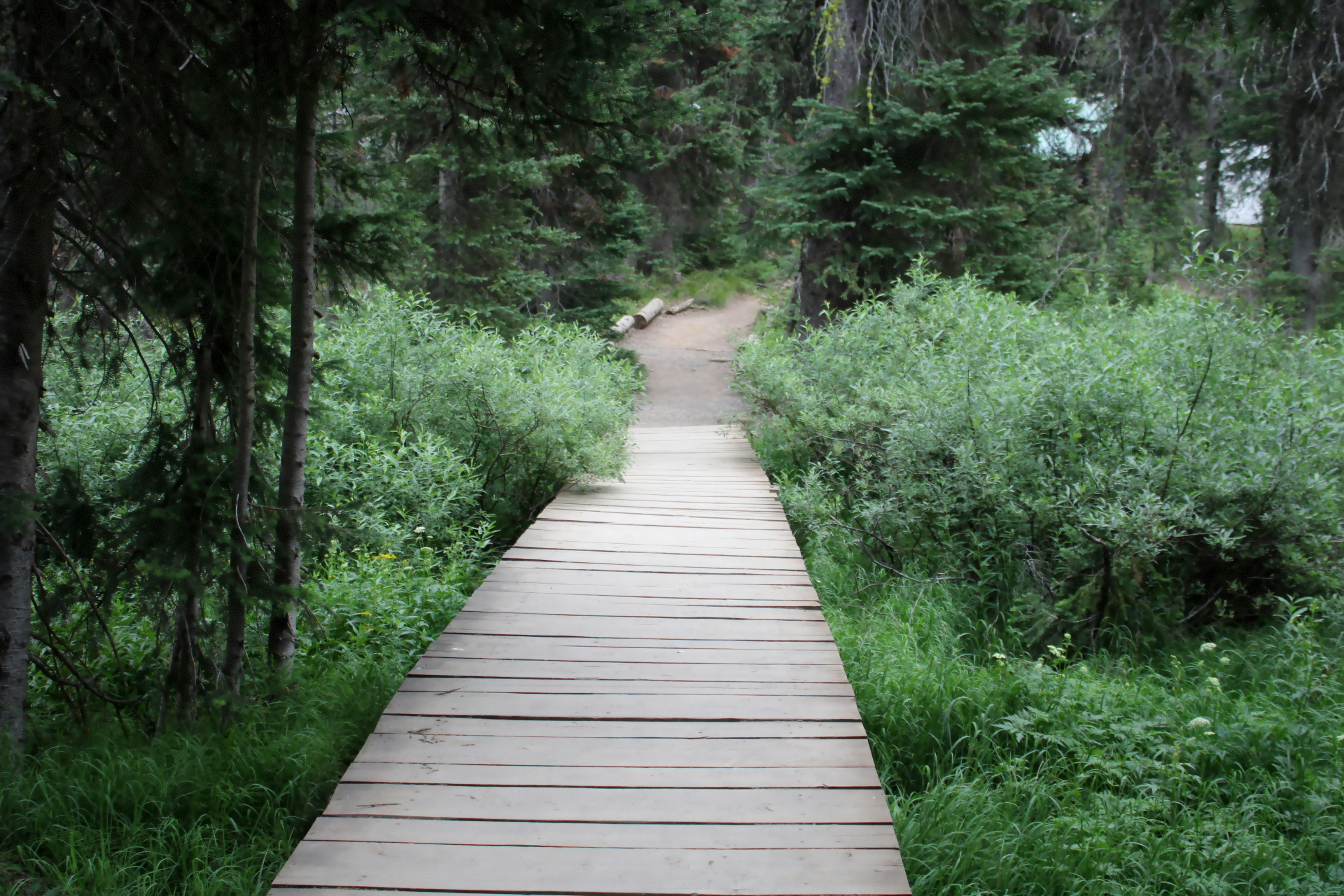 Photo by ingenious0range