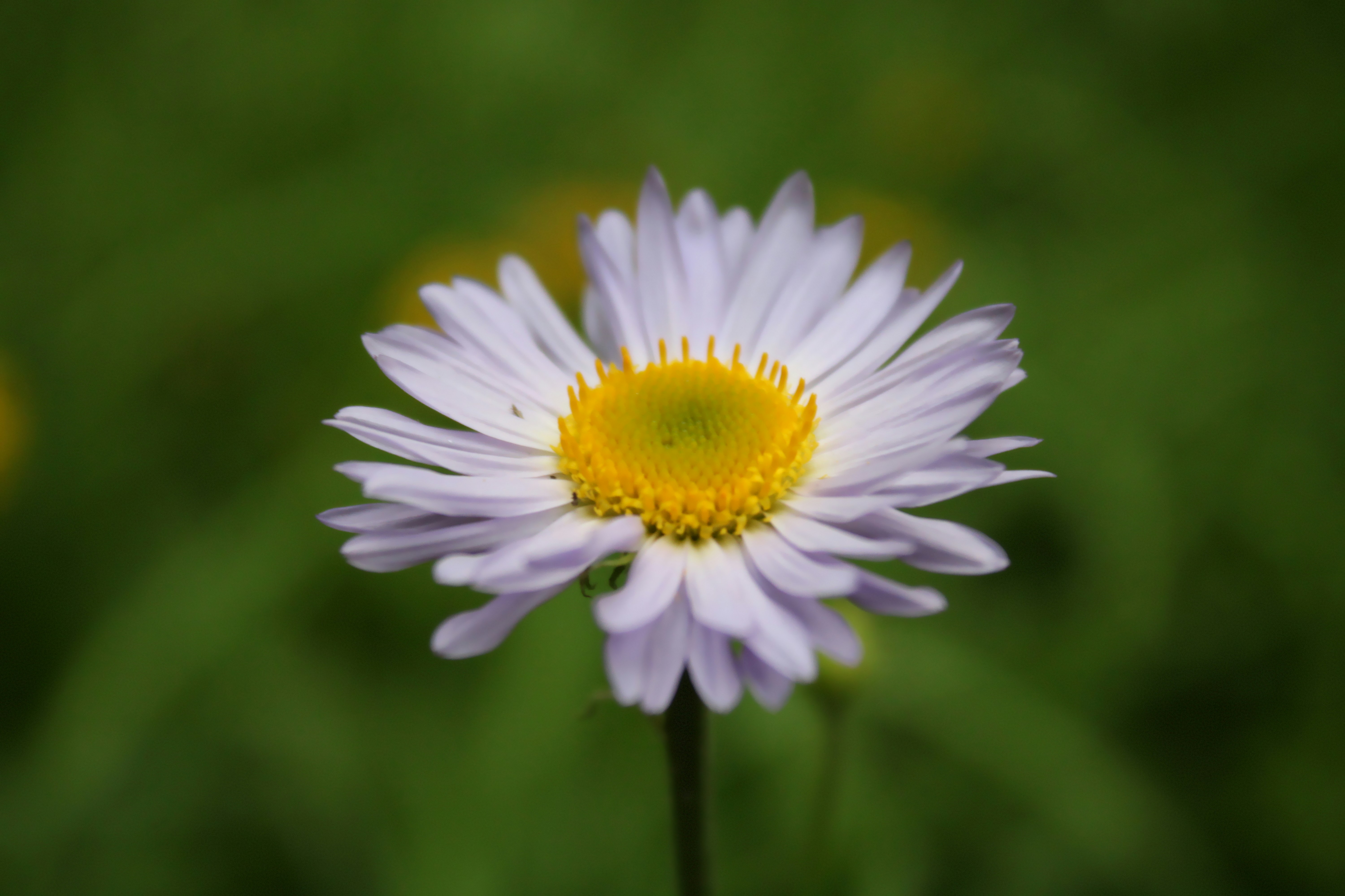 Photo by ingenious0range