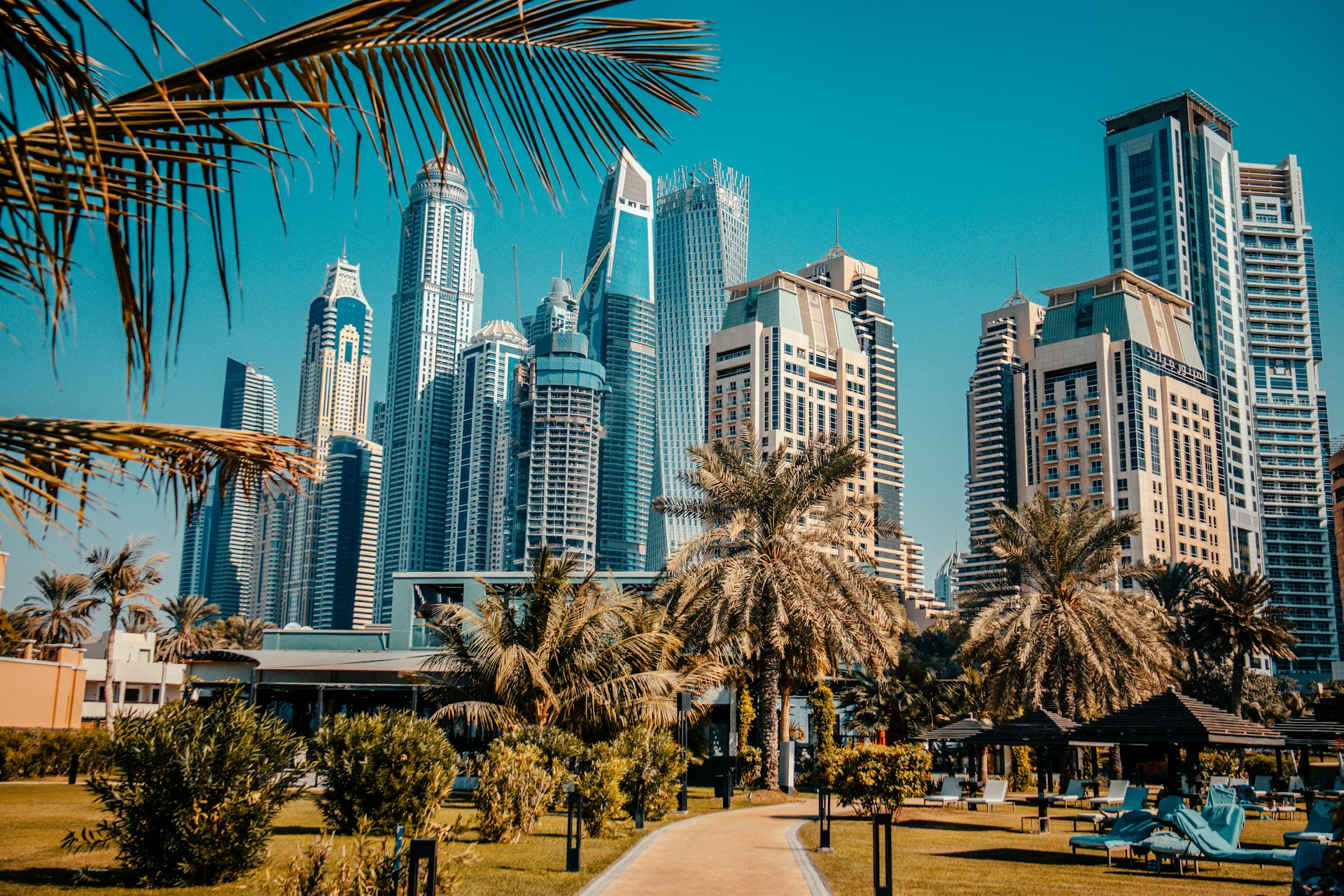 a park with palm trees and tall buildings in the background