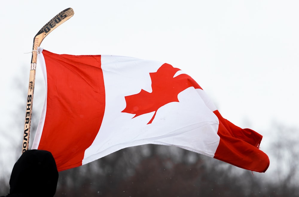 a canadian flag flying in the wind with trees in the background