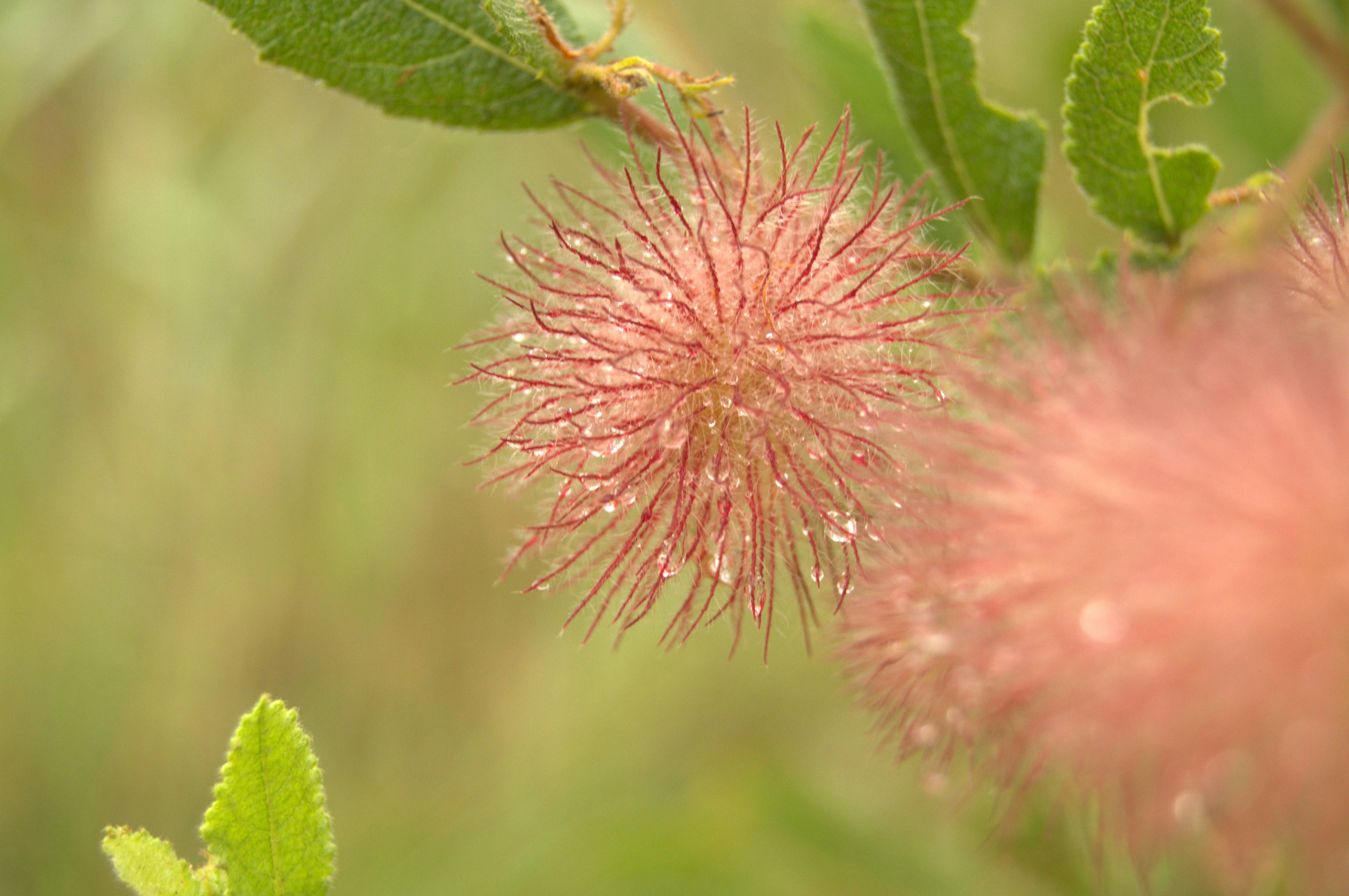 Photo by andreasphotography