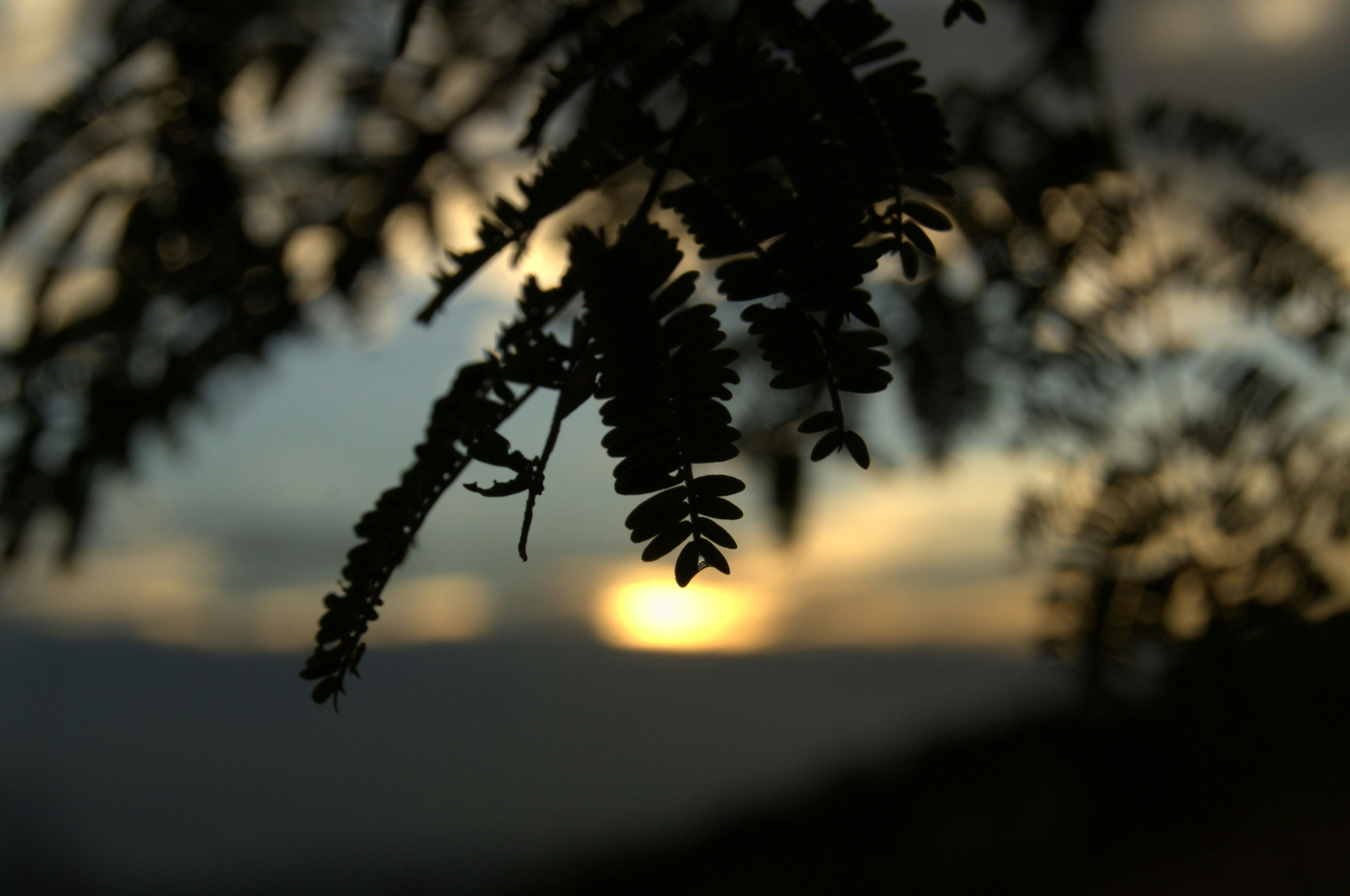 Photo by andreasphotography