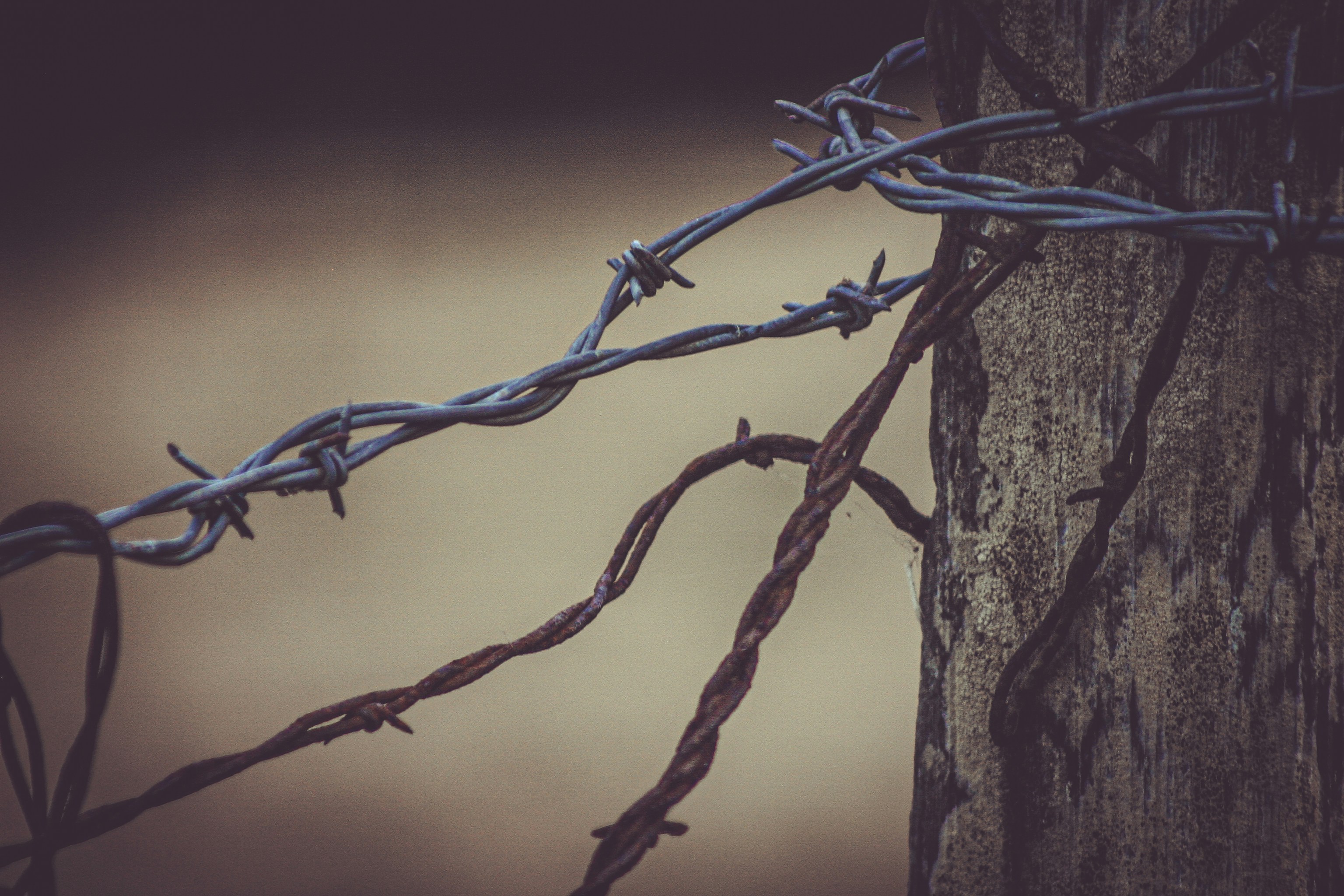 The Roundup: National Parks, a Grand Canyon Loss, and Illegal Fencing