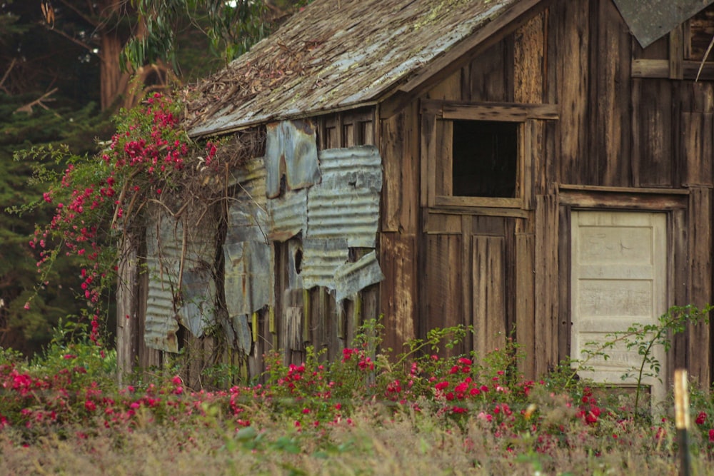 an old wooden building in a field of flowers