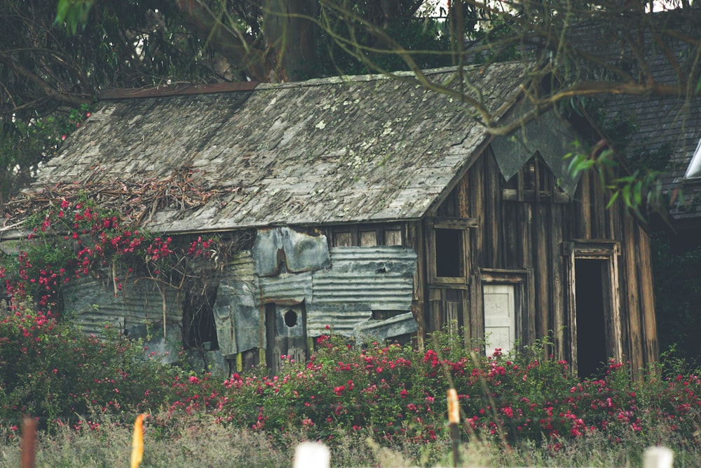 uma velha casa degradada em um campo de flores