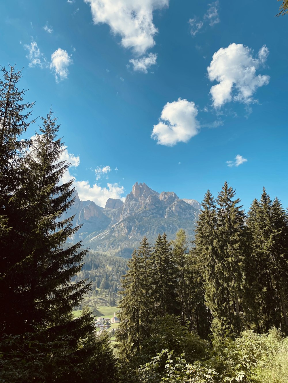 a scenic view of a mountain range with trees in the foreground