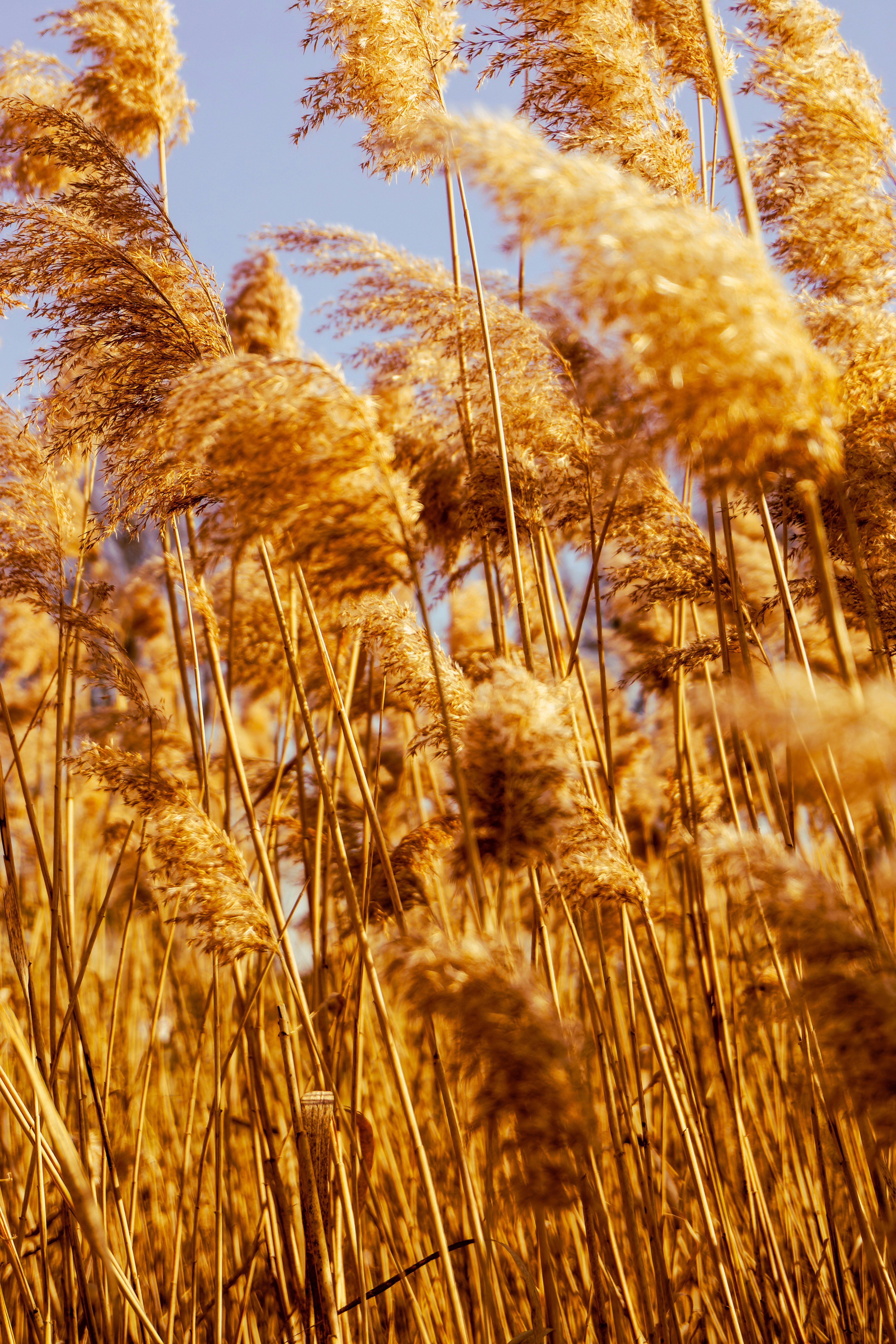 Photo by clayleconey