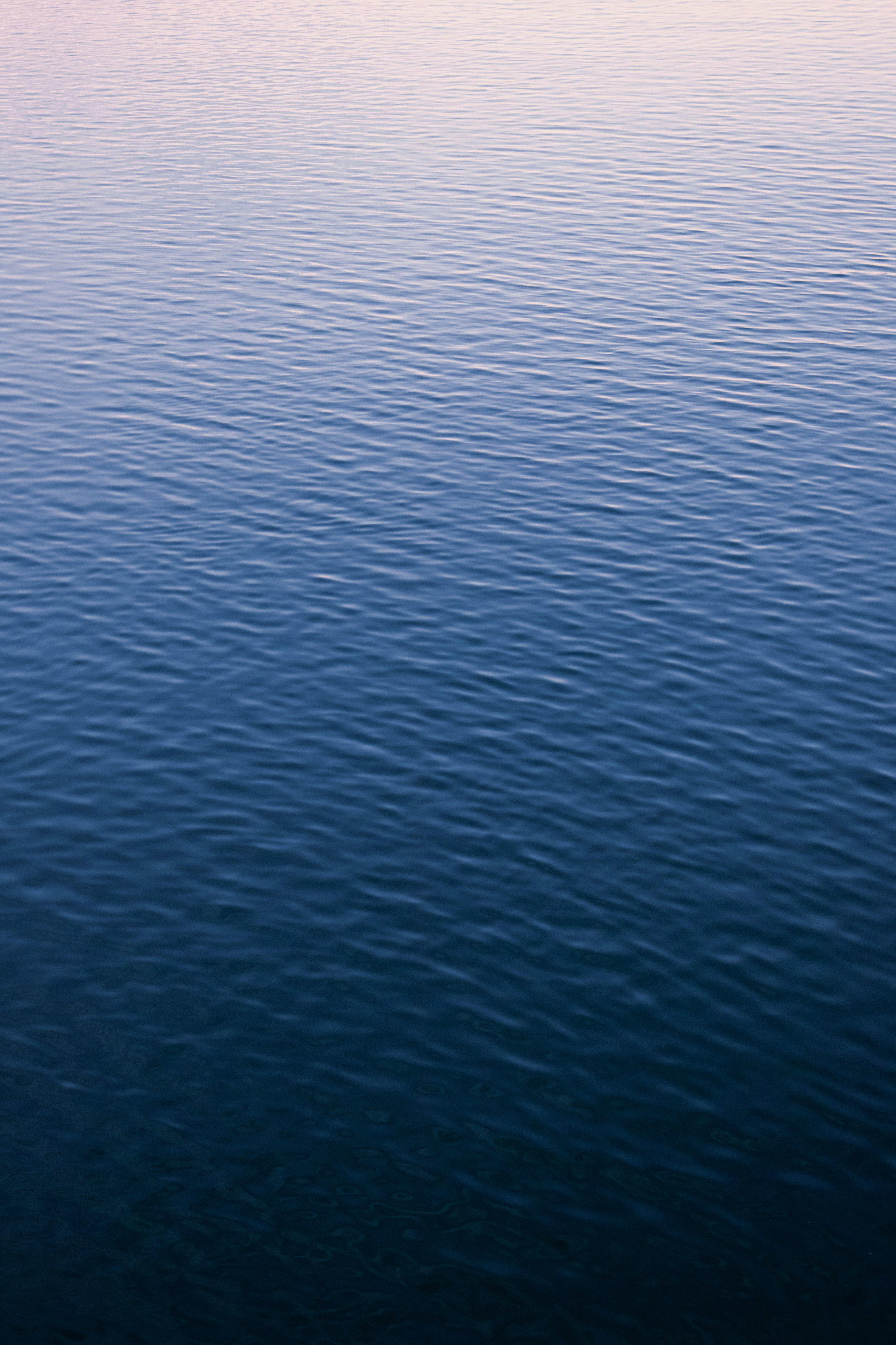 Photo by clayleconey