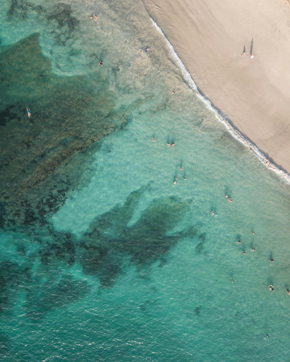 an aerial view of a beach with people in the water