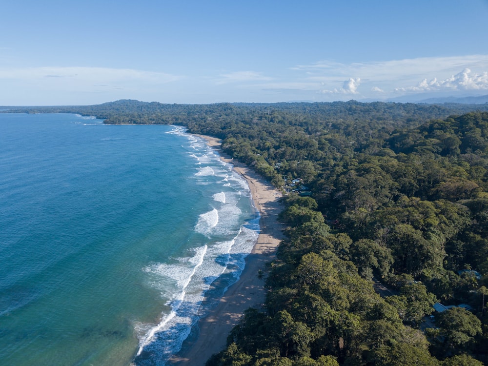 an aerial view of a beach surrounded by trees