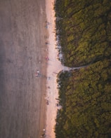 a group of people standing on top of a sandy beach