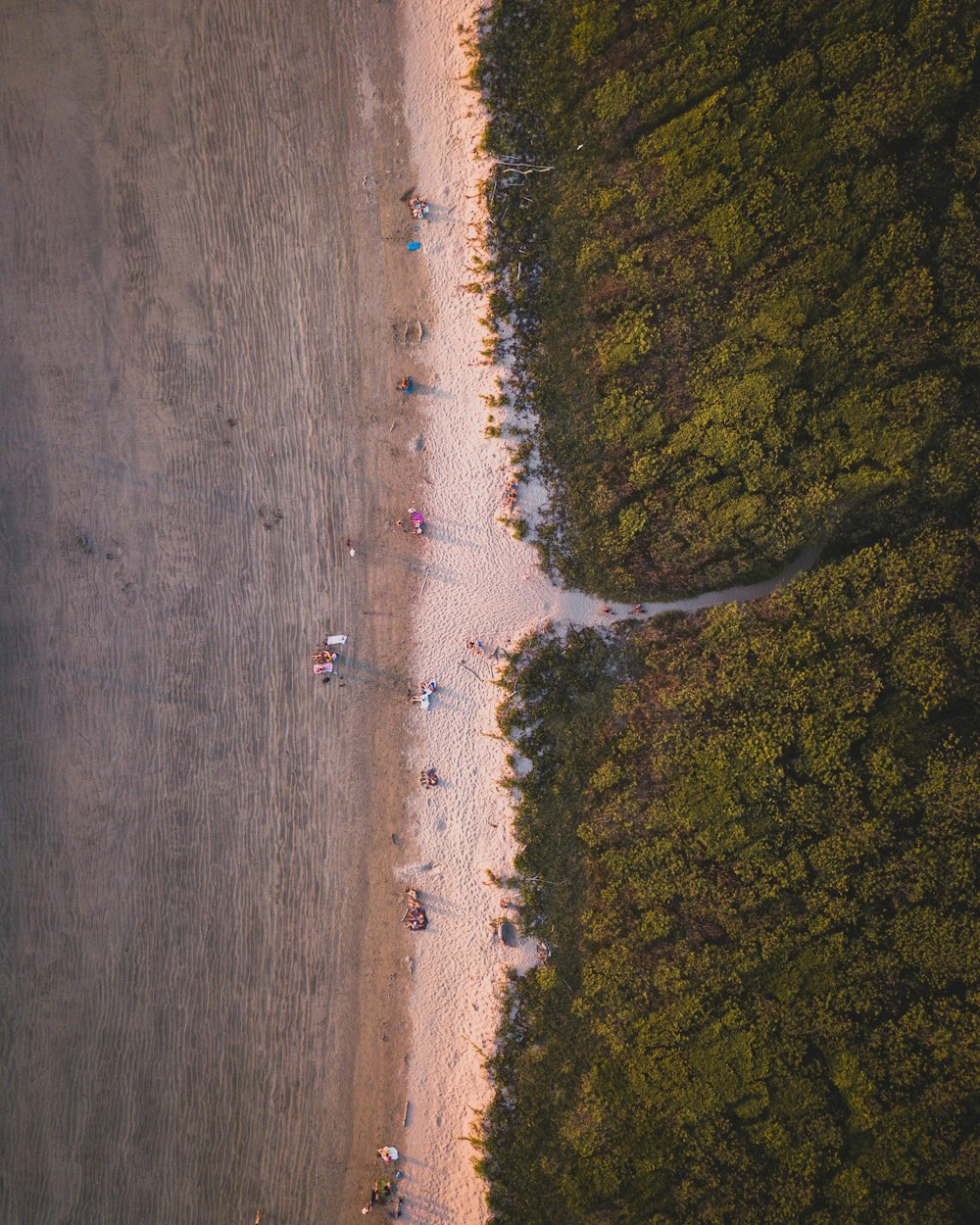 Un grupo de personas de pie en la cima de una playa de arena