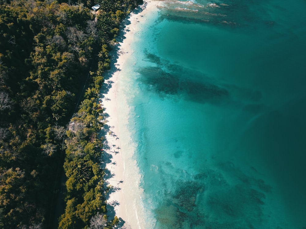 an aerial view of a beach and a forested area