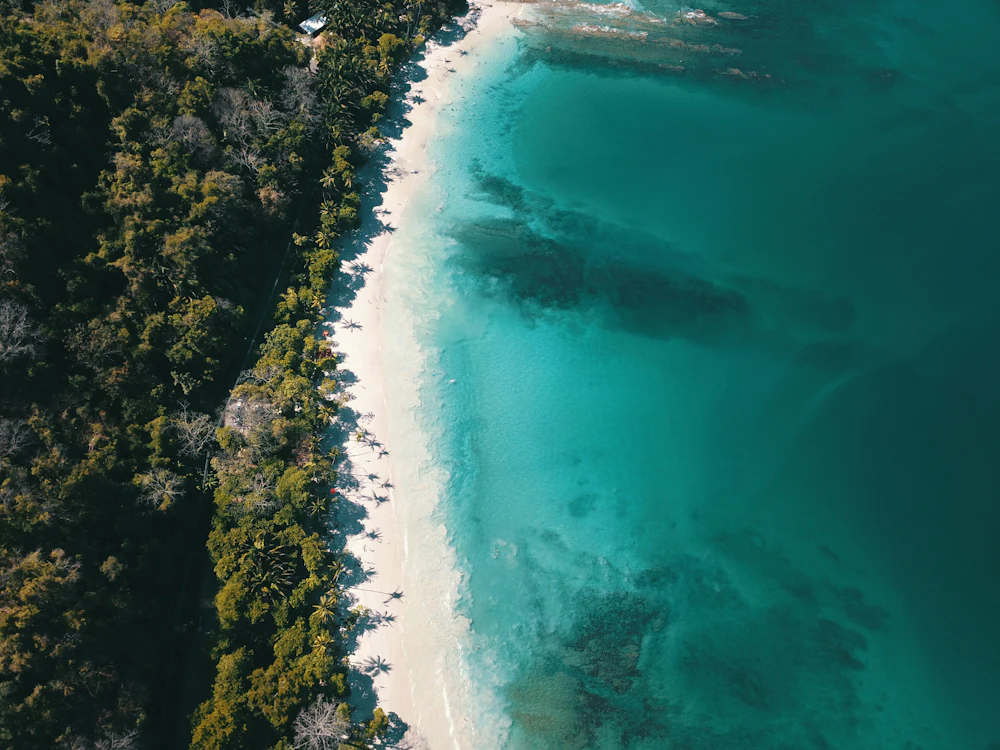 Vista aérea de una playa y bosque costarricense