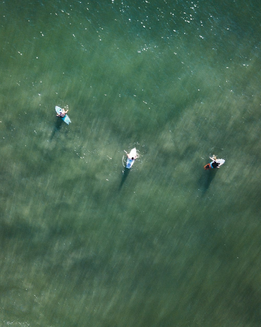 a group of people riding paddle boards on top of a body of water