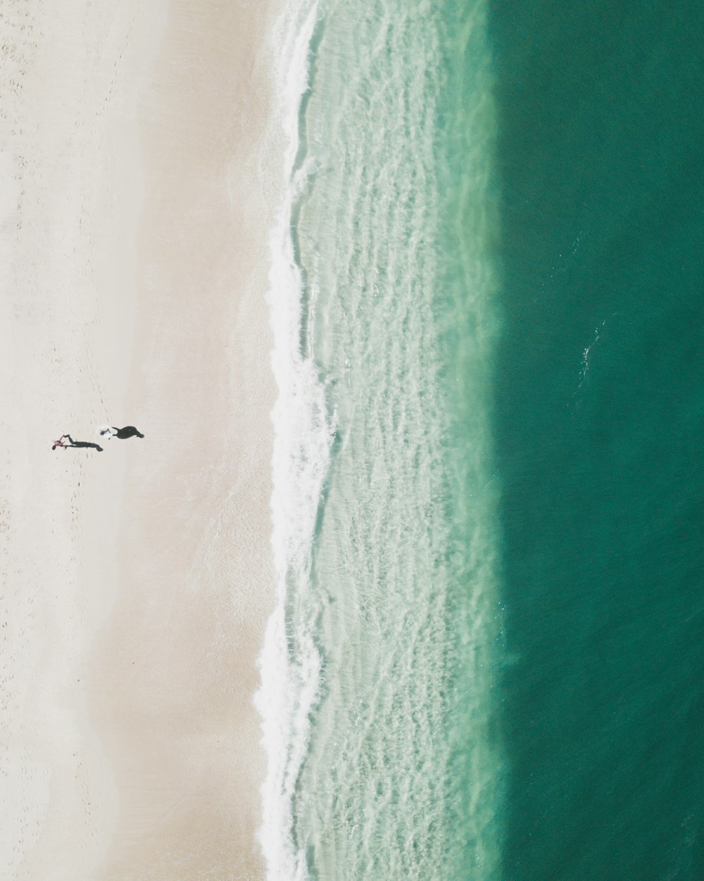 a bird flying over the water