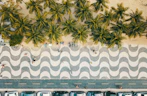 An aerial view of the wavy mosaic promenade and palm trees in Copacabana