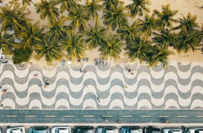 An aerial view of the wavy mosaic promenade and palm trees in Copacabana