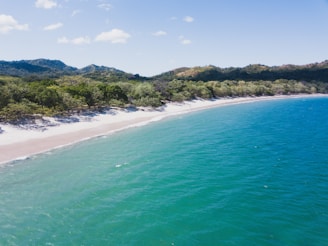 a large body of water
