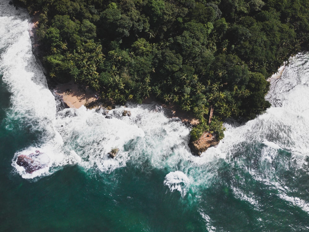 an aerial view of a body of water surrounded by trees