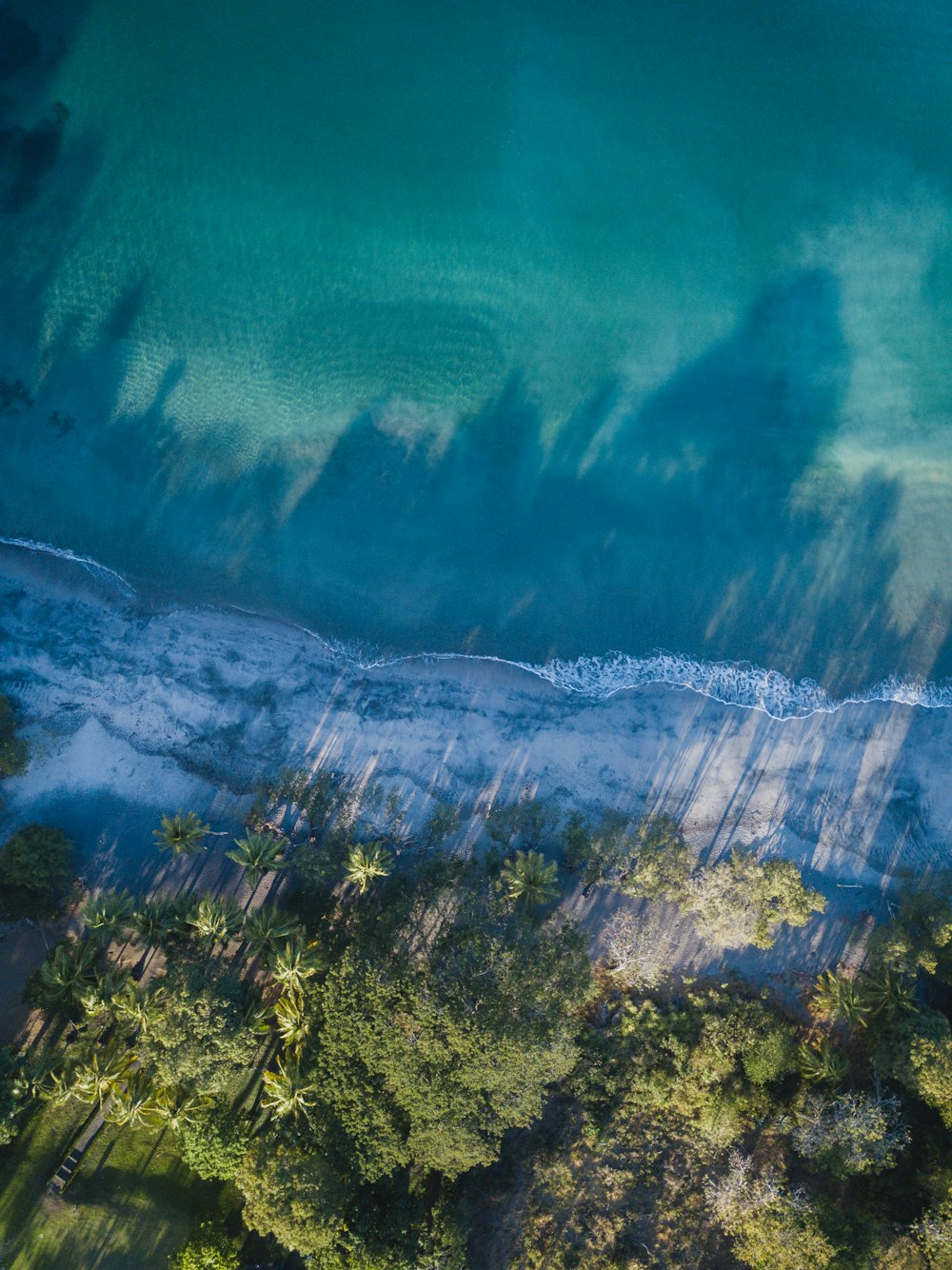 a bird's eye view of a beach and trees