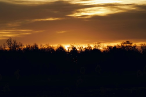 the sun is setting over the trees in the distance