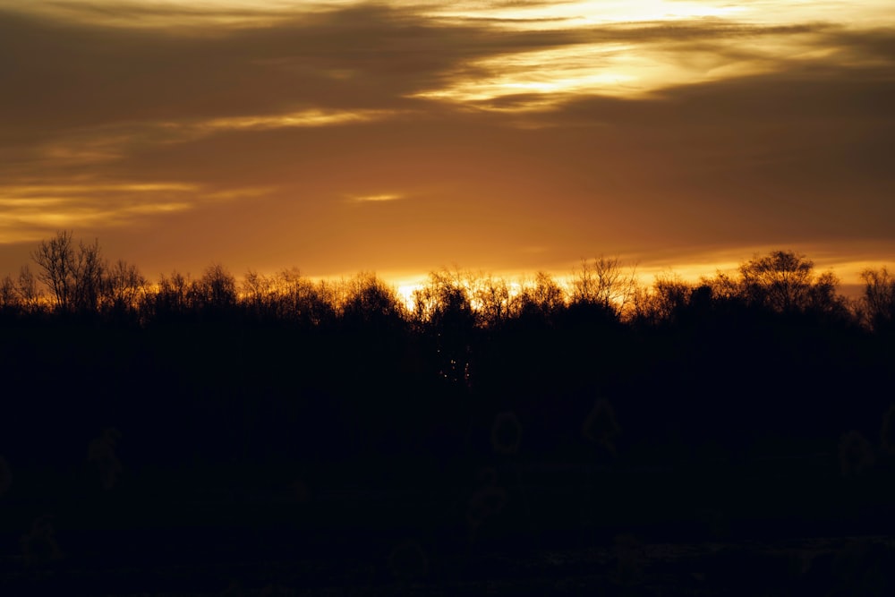 the sun is setting over the trees in the distance