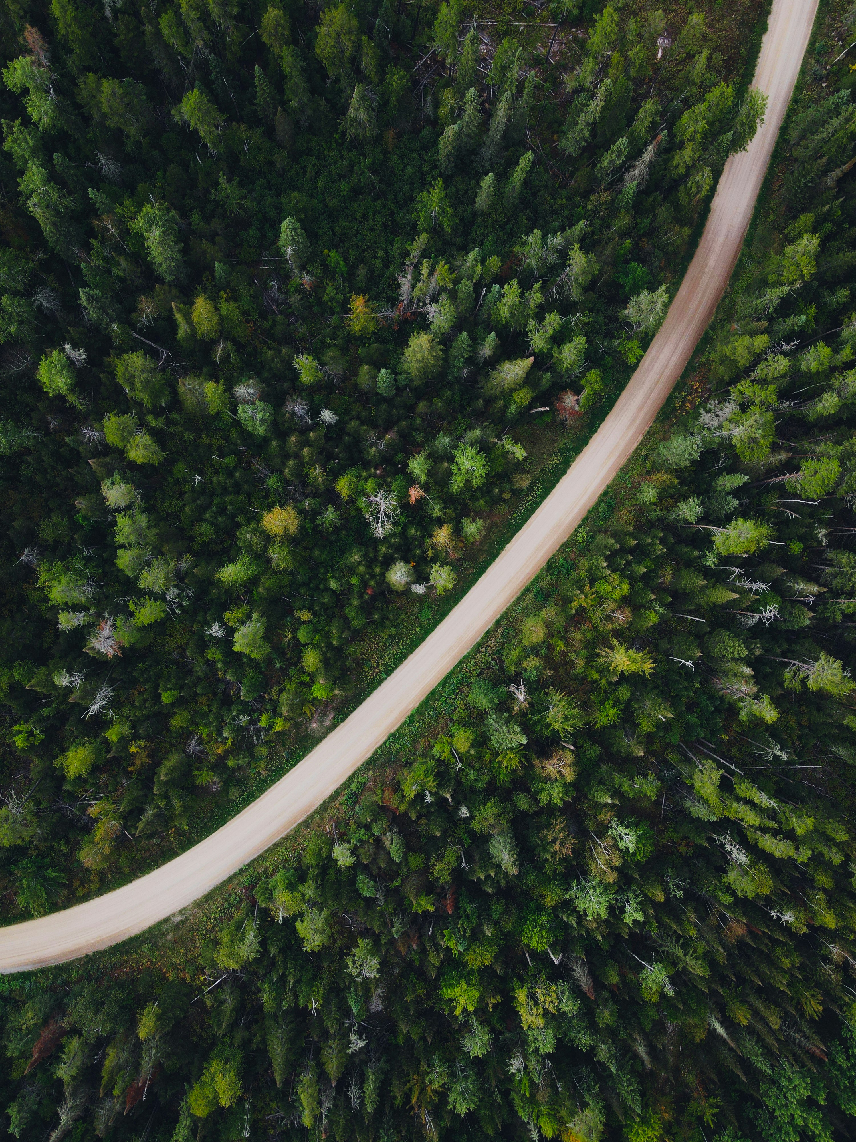 an aerial view of a road in the middle of a forest
