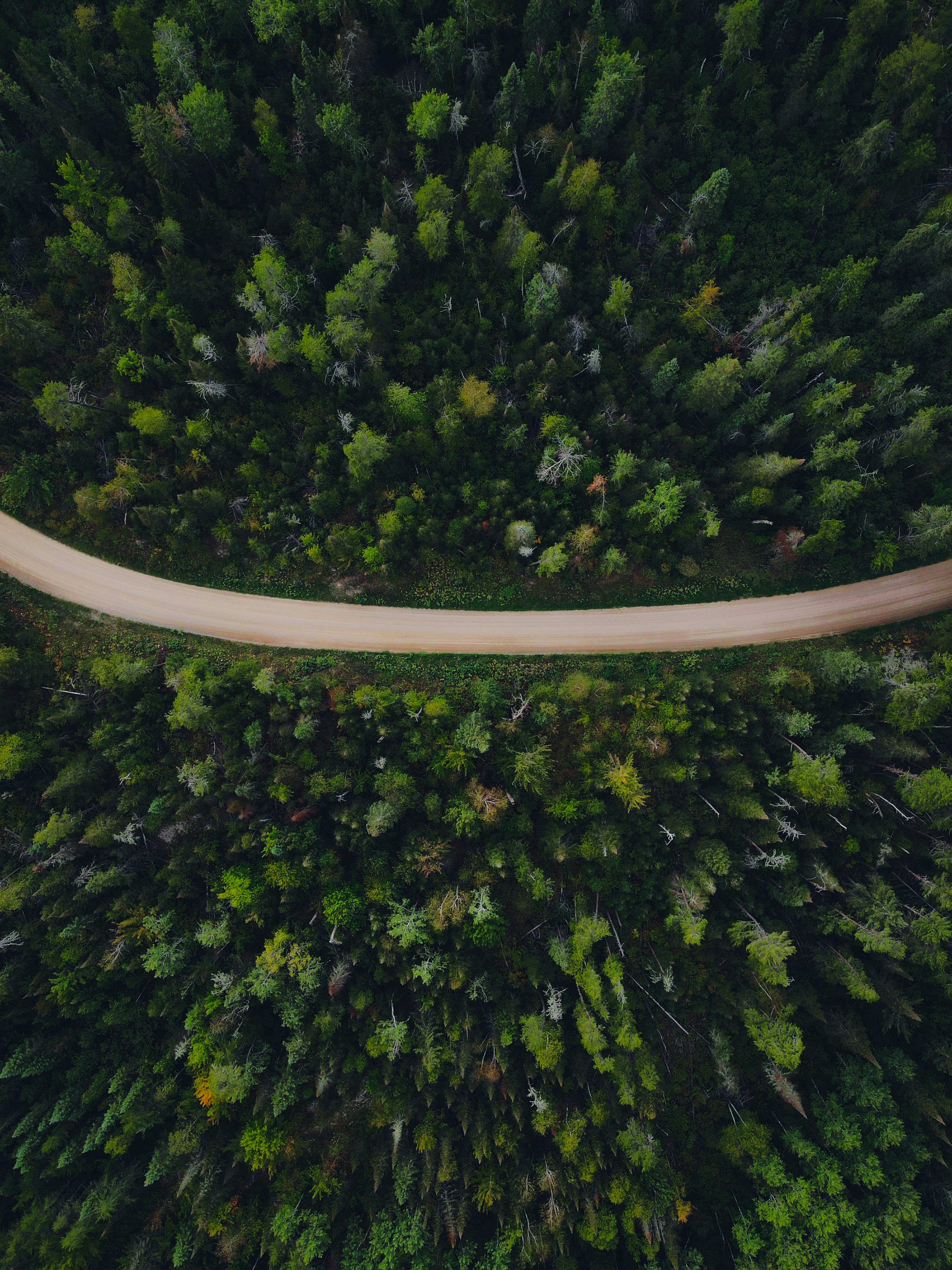 an aerial view of a road in the middle of a forest