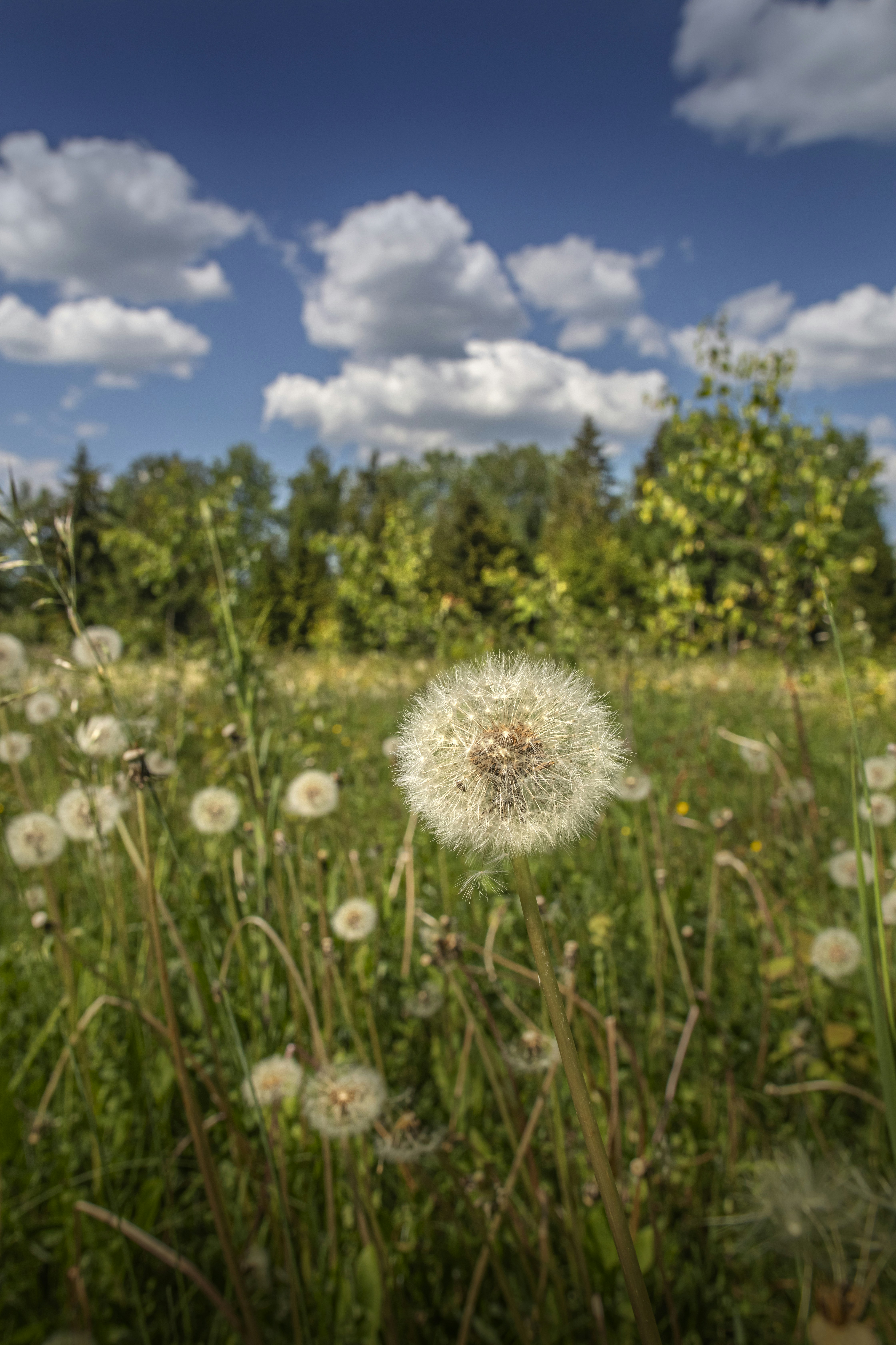 Photo by erik_karits