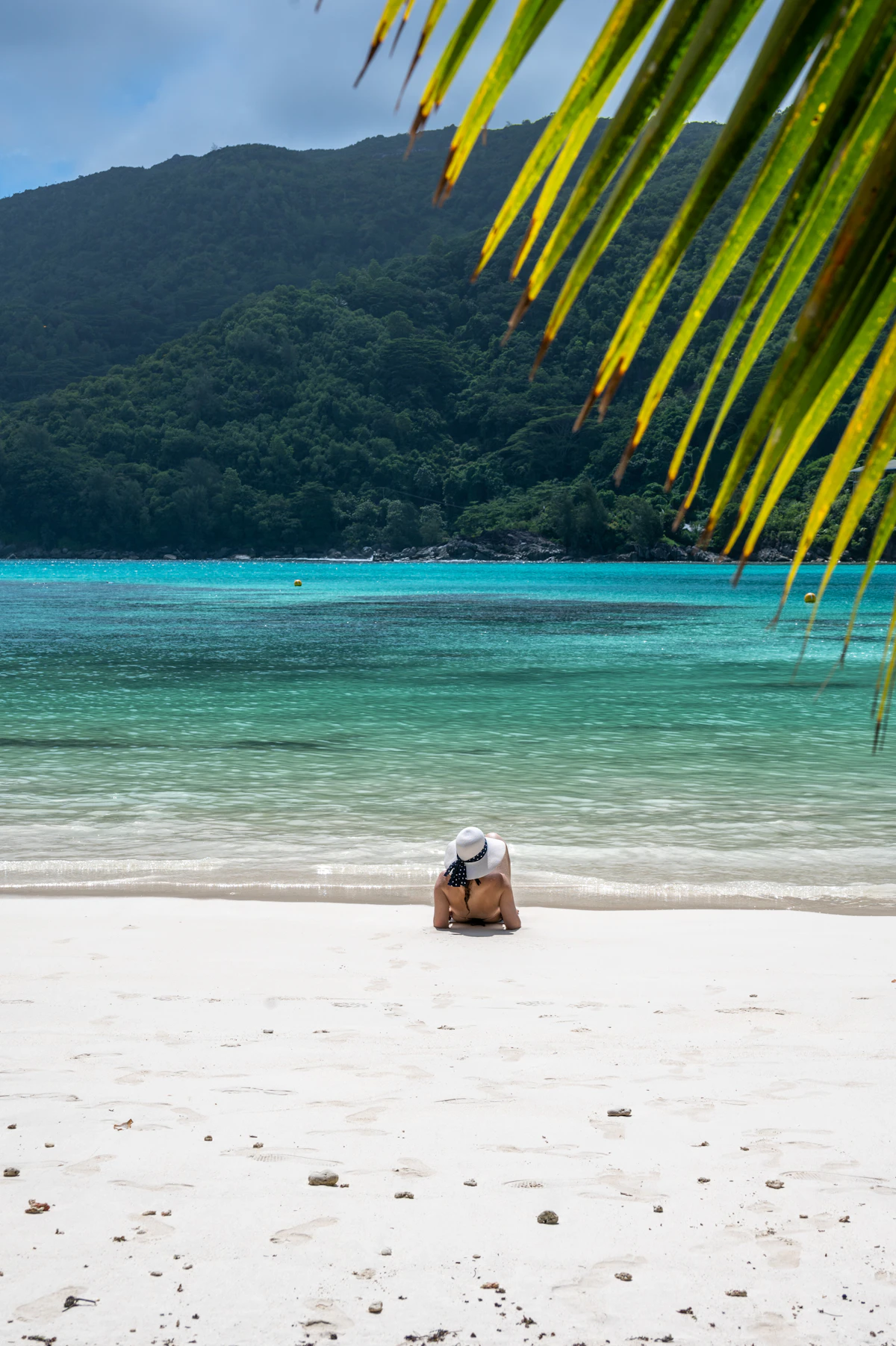 Seychelles nature