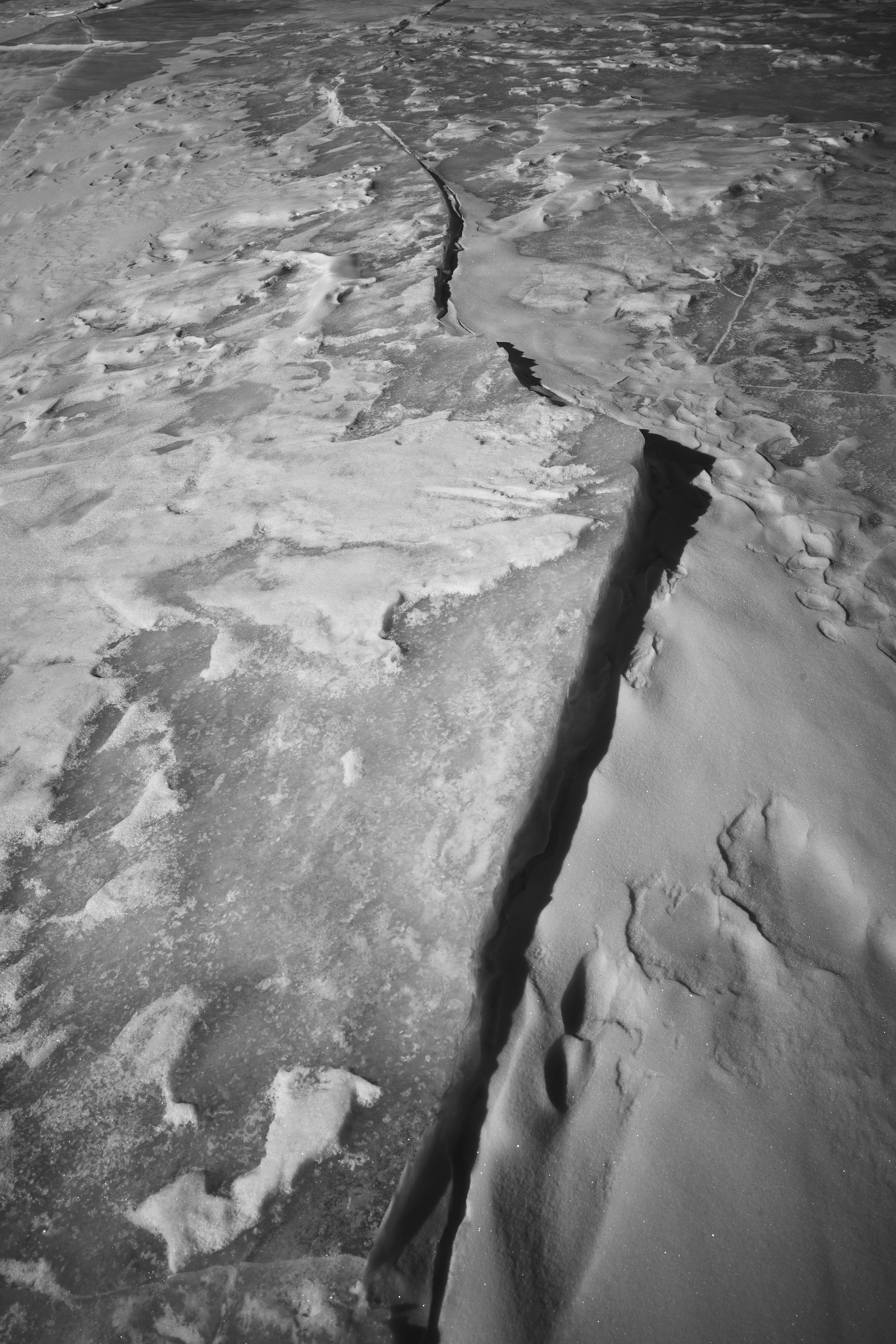 Photo by chrislimbrick