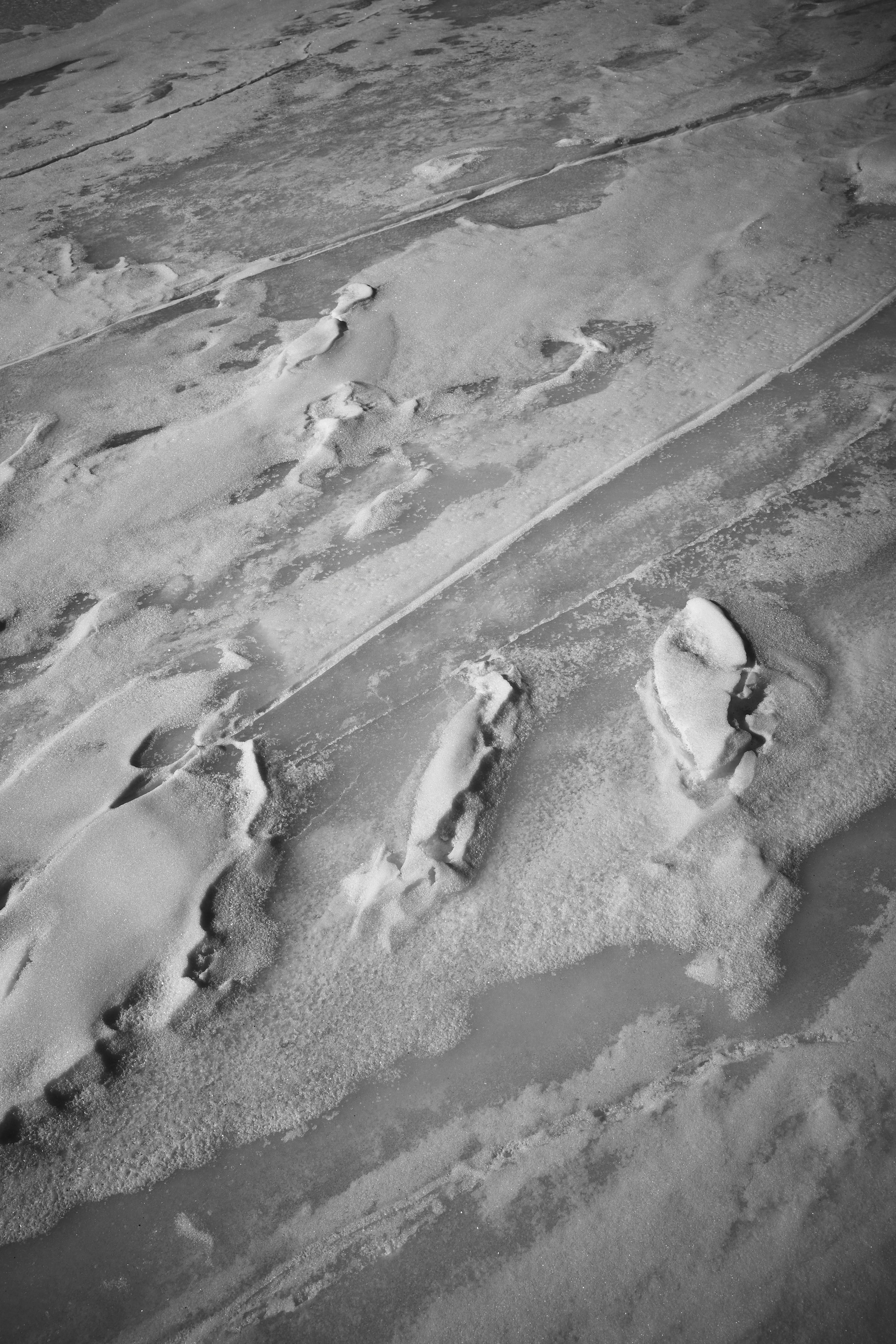 Photo by chrislimbrick