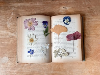 an open book with pressed flowers on it