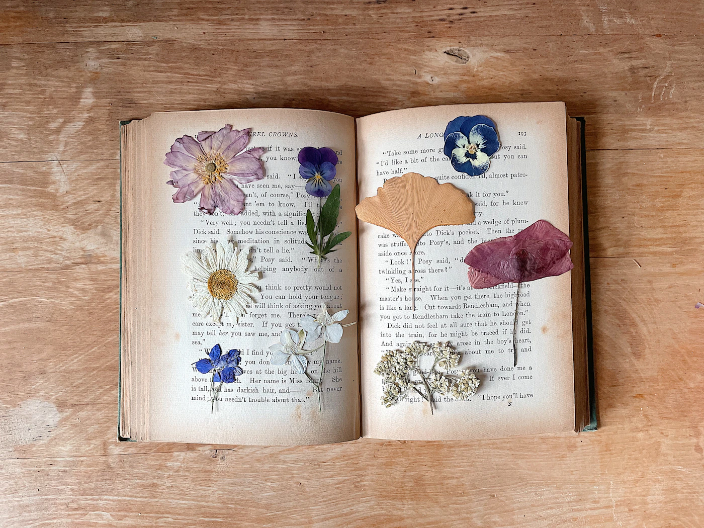 Pressed flowers arranged separately across the open pages of a book