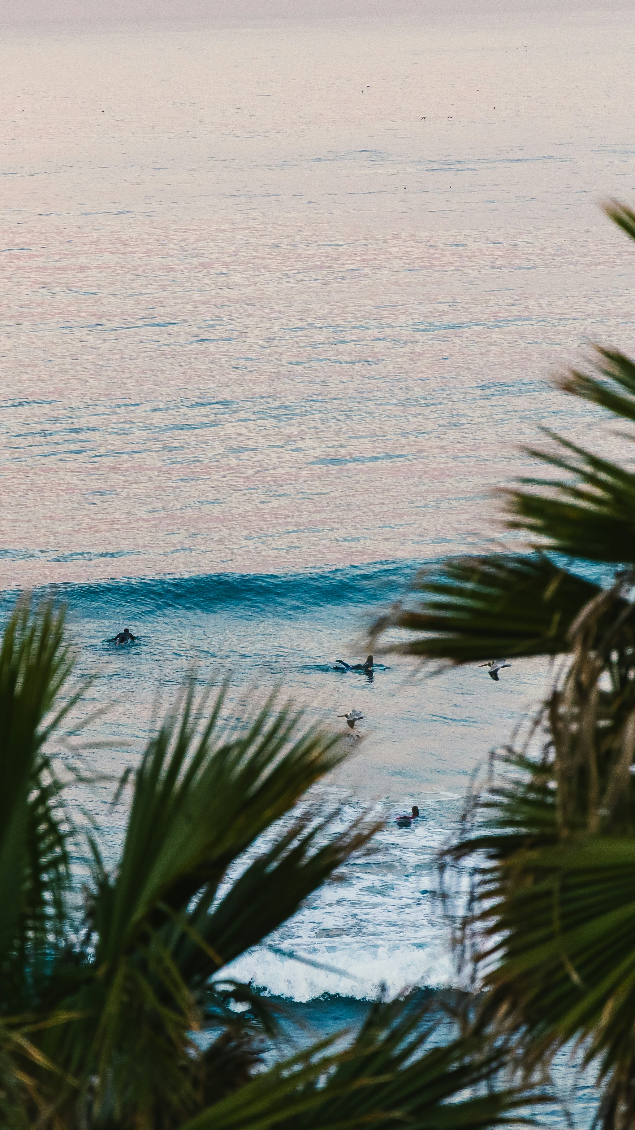 Photo by reednaliboff